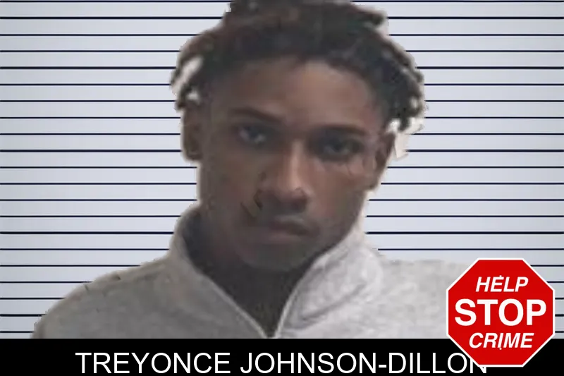 Treyonce Johnson-Dillon mugshot