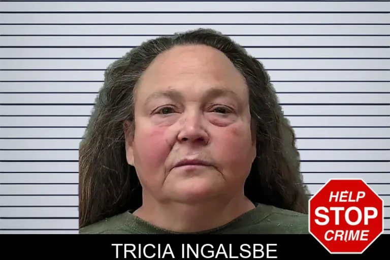 Tricia Ingalsbe mugshot – Towns County , Georgia Tricia Ingalsbe