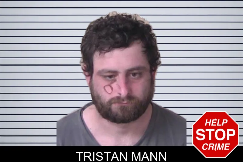 Tristan Mann mugshot