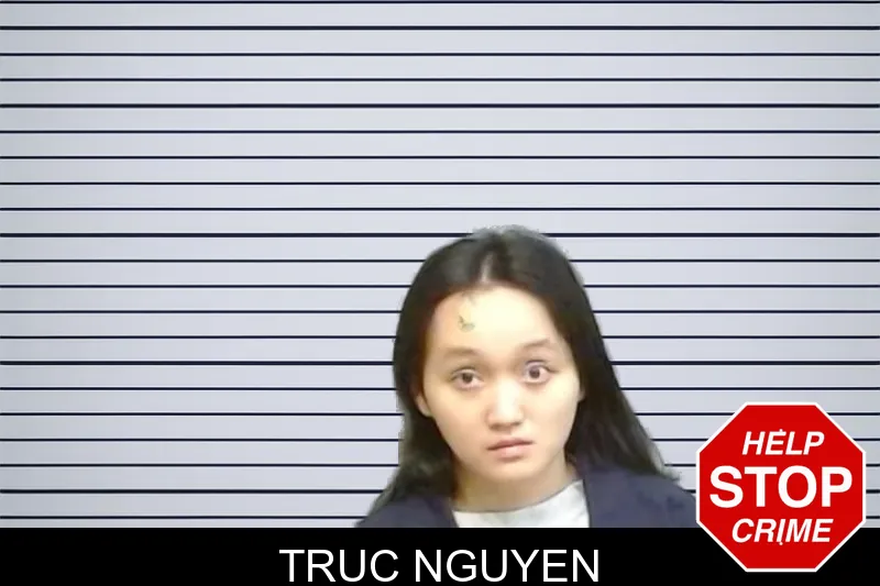 Truc Nguyen mugshot