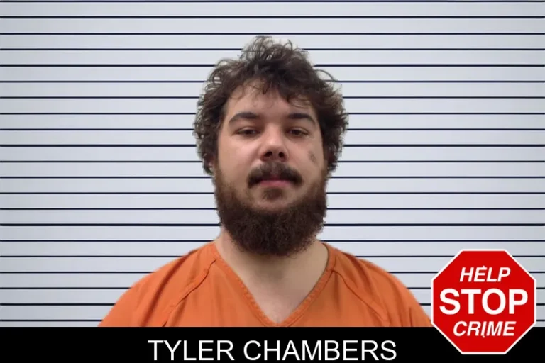 Tyler Chambers mugshot – Pickens County , Georgia Tyler Chambers