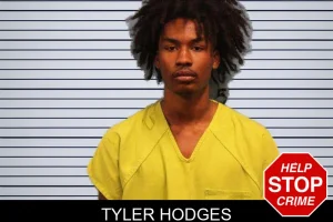 Tyler Hodges mugshot