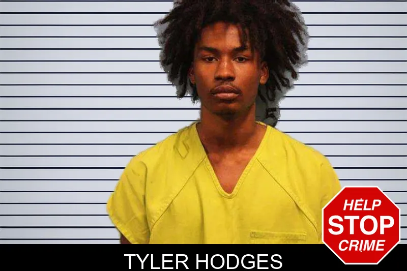 Tyler Hodges mugshot