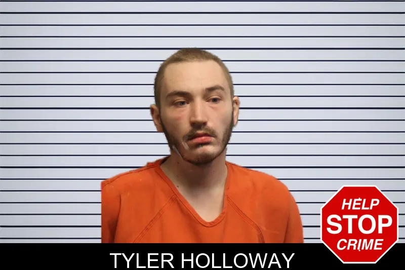 Tyler Holloway mugshot – Lumpkin County , Georgia Tyler Holloway mugshot