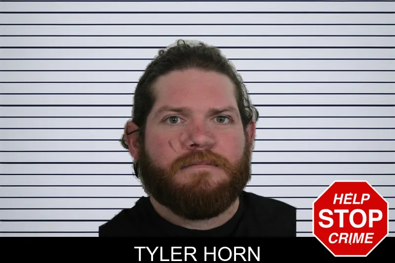 Tyler Horn mugshot