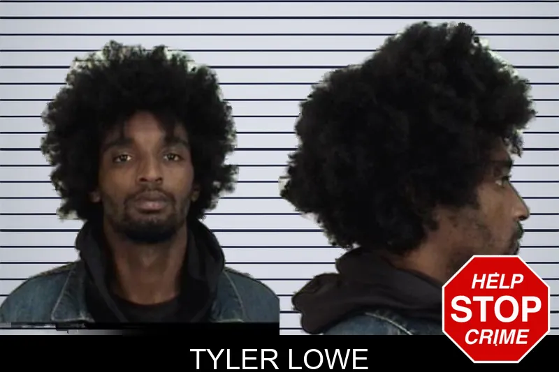Tyler Lowe mugshot