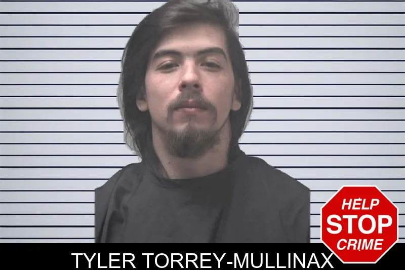 Tyler Torrey-Mullinax mugshot