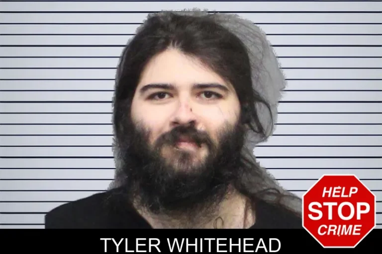 Tyler Whitehead mugshot – White County , Georgia Tyler Whitehead