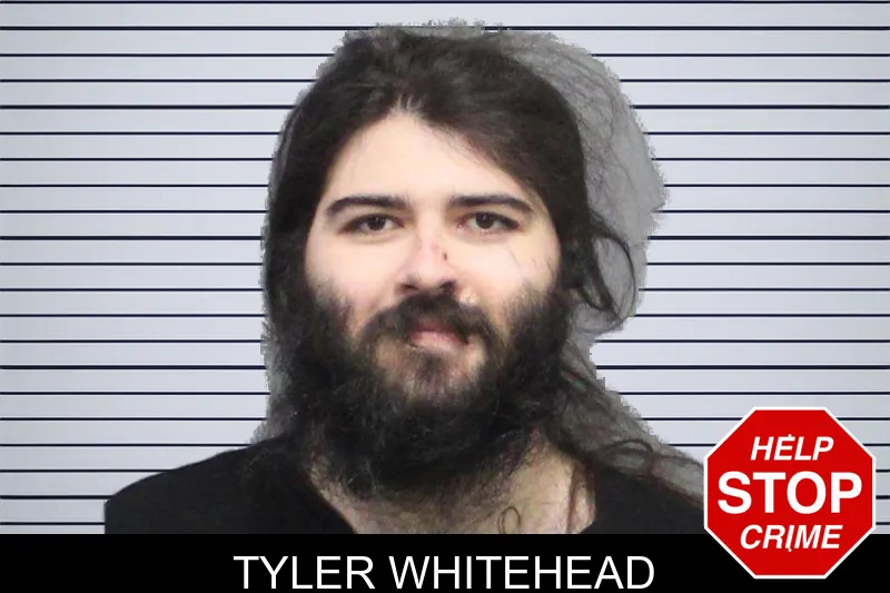 Tyler Whitehead mugshot