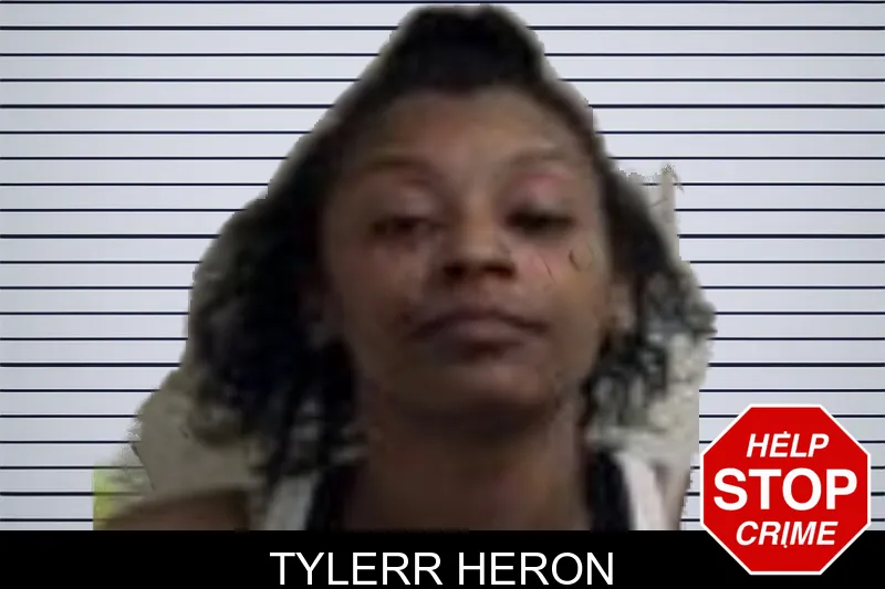 Tylerr Heron mugshot