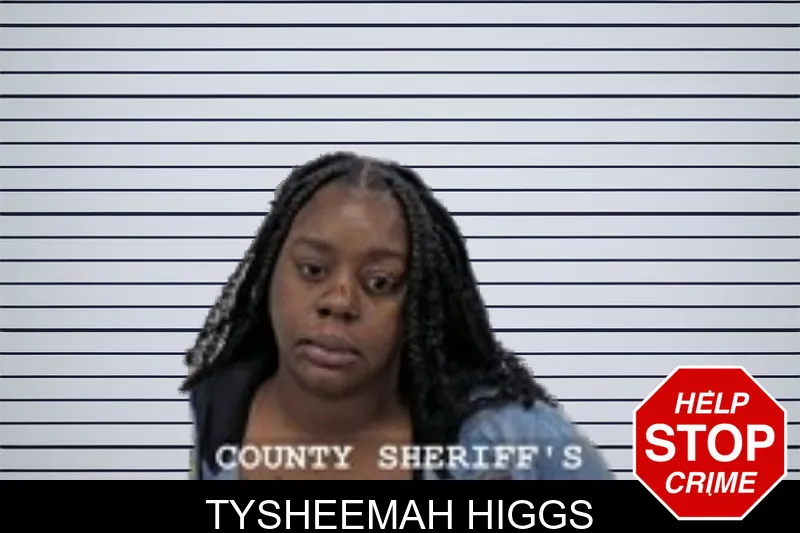 Tysheemah Higgs mugshot