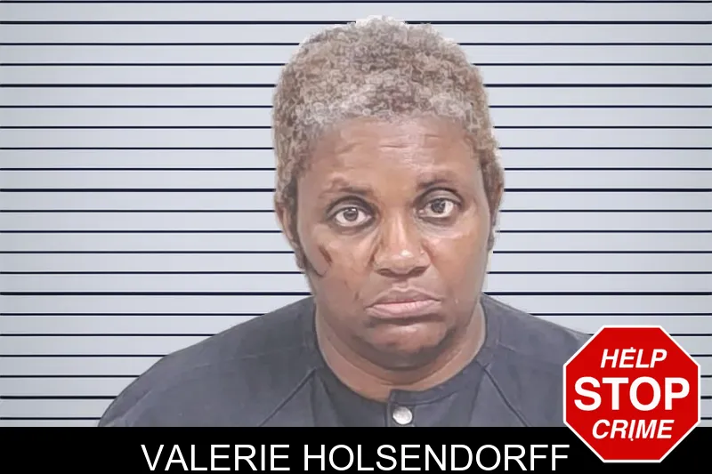 Valerie Holsendorff mugshot