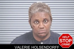 Valerie Holsendorff mugshot