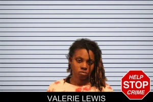 Valerie Lewis mugshot