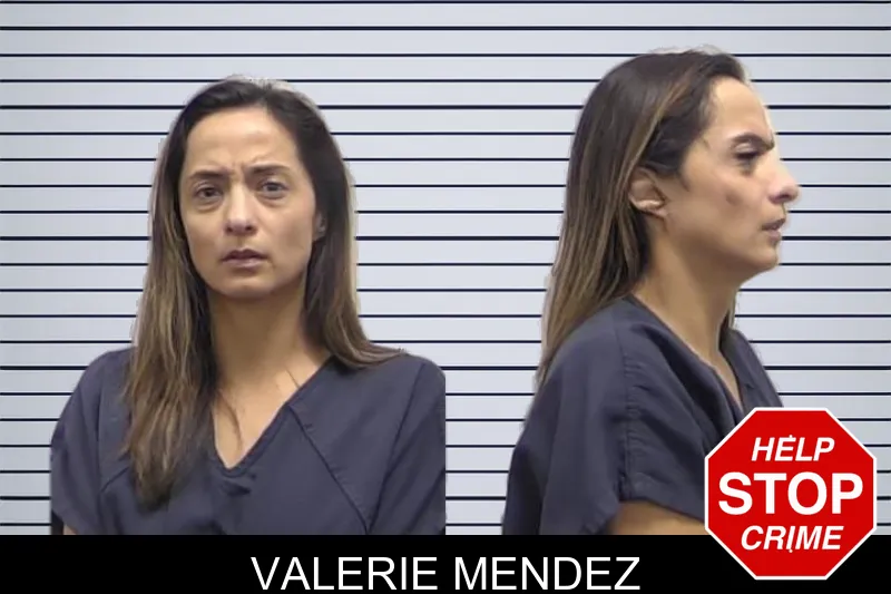 Valerie Mendez mugshot