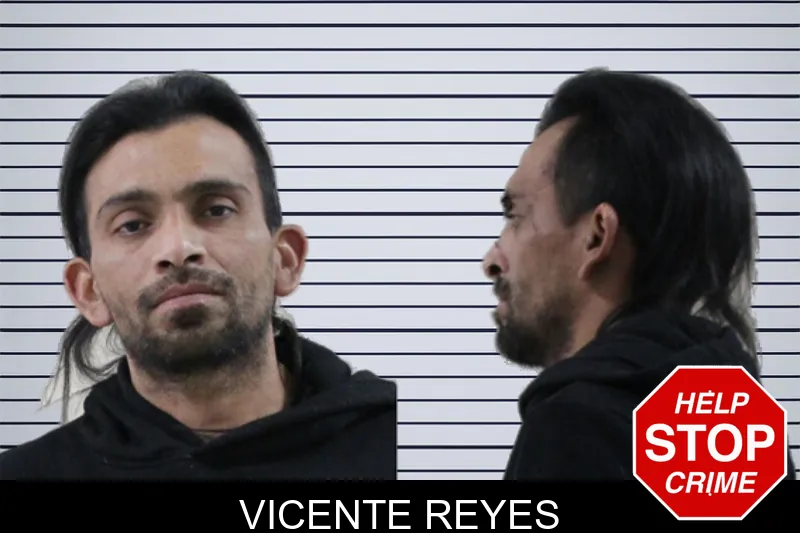 Vicente Reyes mugshot