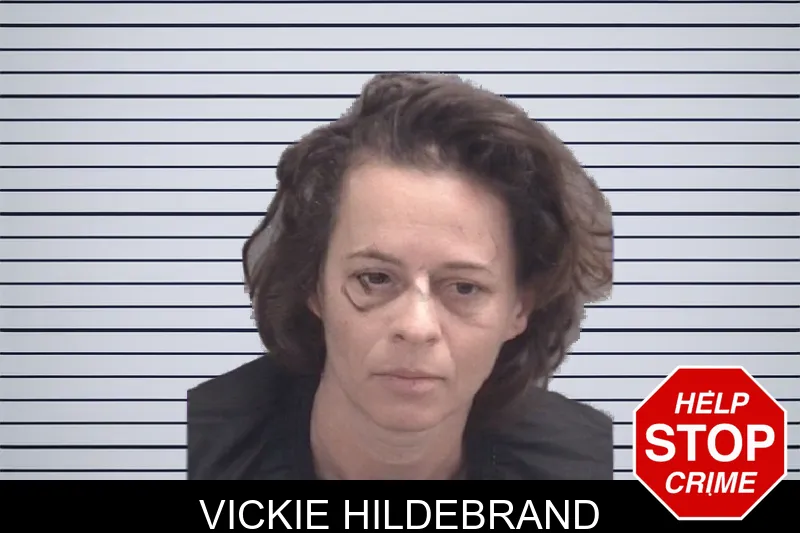 Vickie Hildebrand mugshot – Spalding County , Georgia Vickie Hildebrand mugshot