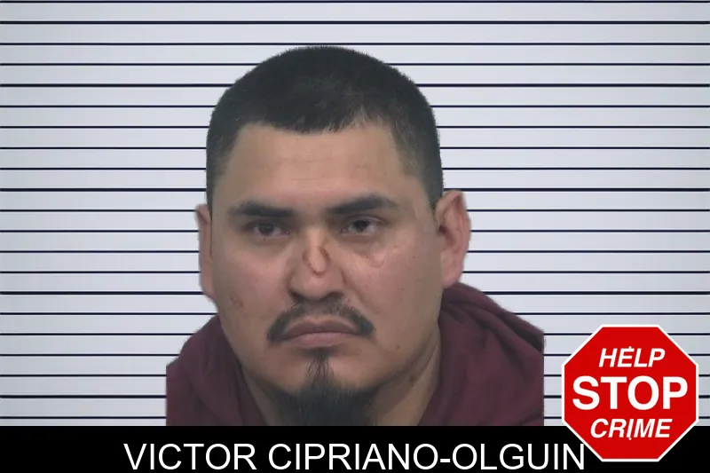 Victor Cipriano-Olguin mugshot – Gwinnett County , Georgia Victor Cipriano-Olguin mugshot