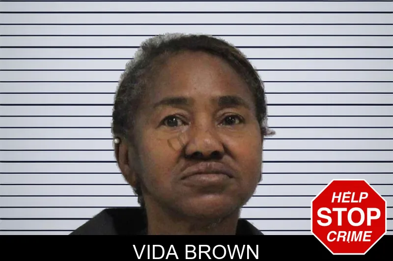 Vida Brown mugshot