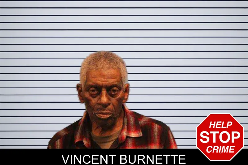Vincent Burnette mugshot – Monroe County , Georgia Vincent Burnette mugshot