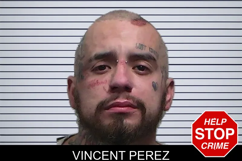 Vincent Perez mugshot