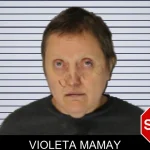 Violeta Mamay mugshot – Hall County , Georgia Violeta Mamay mugshot