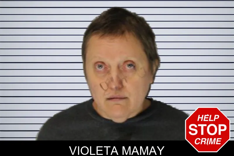 Violeta Mamay mugshot – Hall County , Georgia Violeta Mamay mugshot