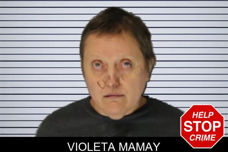 Violeta Mamay