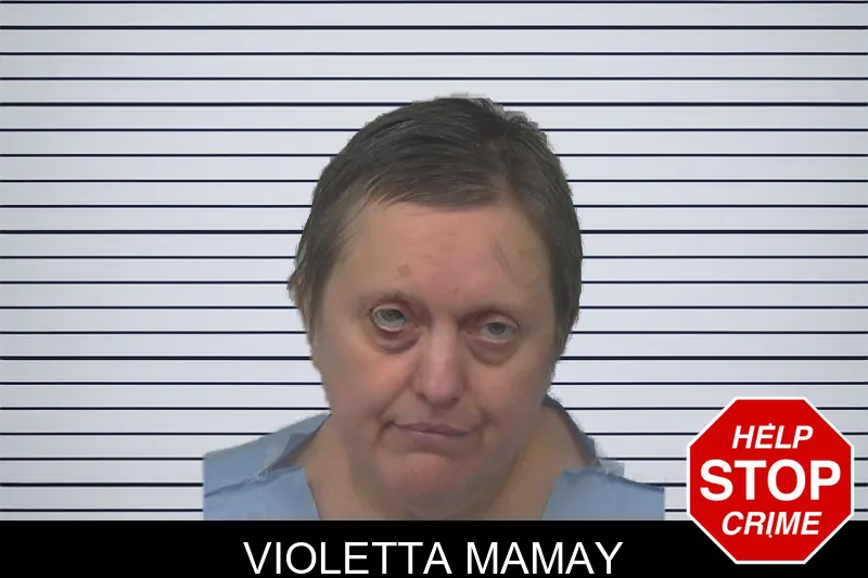 Violetta Mamay mugshot – Gwinnett County , Georgia Violetta Mamay mugshot