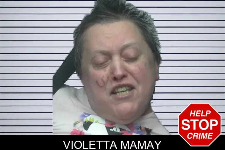 Violetta Mamay
