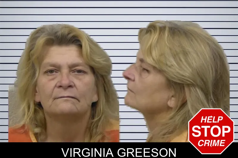 Virginia Greeson mugshot – Paulding County , Georgia Virginia Greeson mugshot