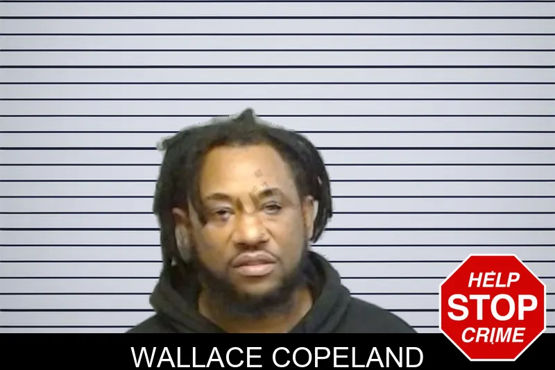 Wallace Copeland mugshot – Fulton County , Georgia Wallace Copeland mugshot