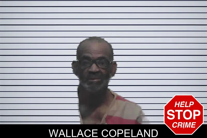 Wallace Copeland mugshot – Meriwether County , Georgia Wallace Copeland mugshot