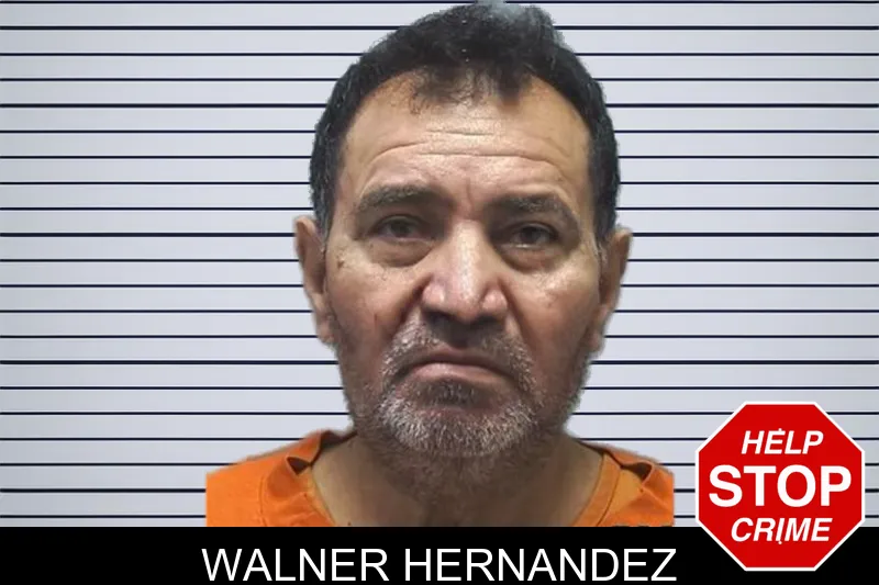 Walner Hernandez mugshot