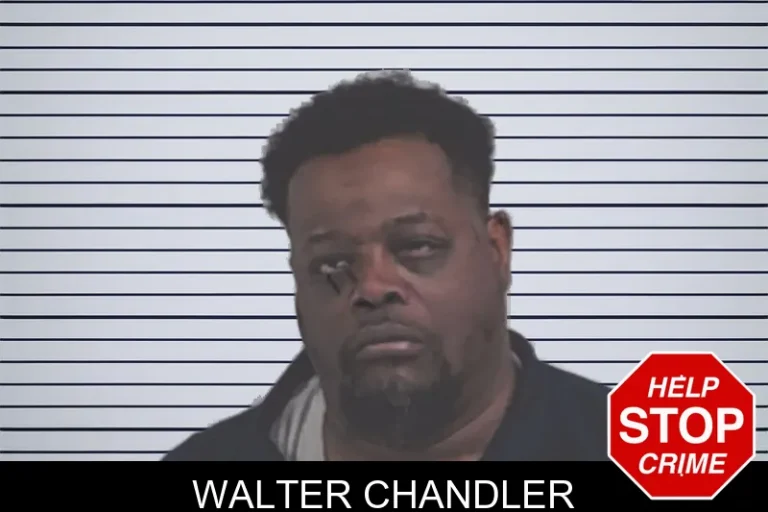 Walter Chandler mugshot – Lowndes County , Georgia Walter Chandler