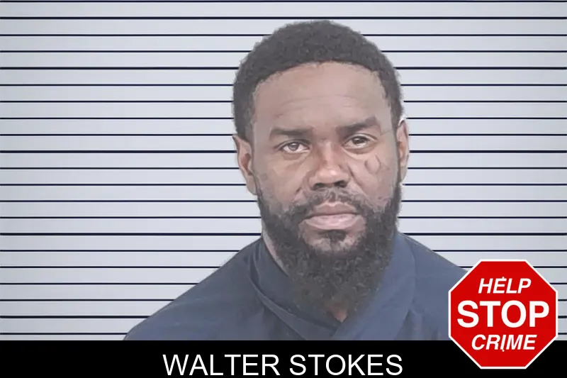Walter Stokes mugshot – Lowndes County , Georgia Walter Stokes mugshot