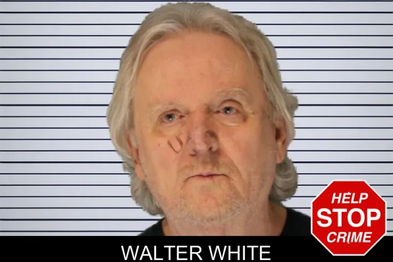 Walter White mugshot – Hall County , Georgia Walter White
