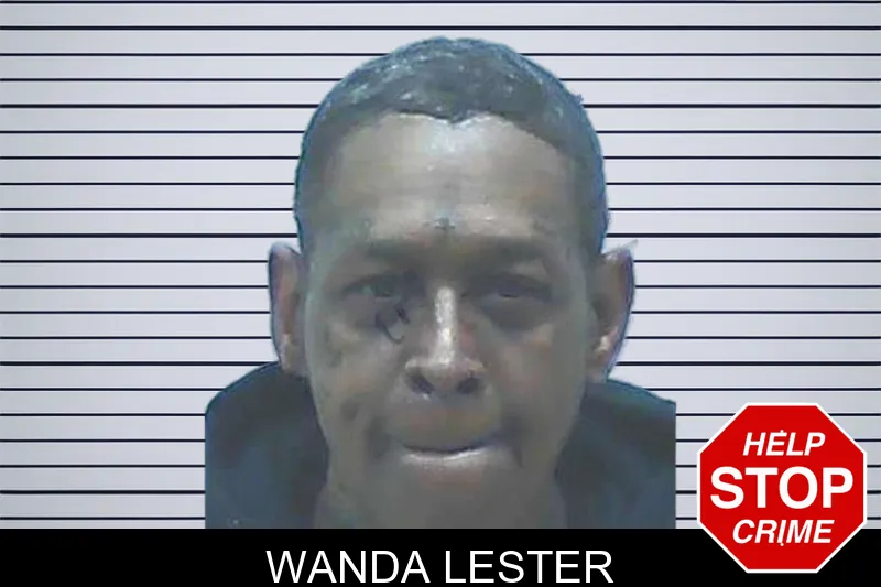 Wanda Lester mugshot