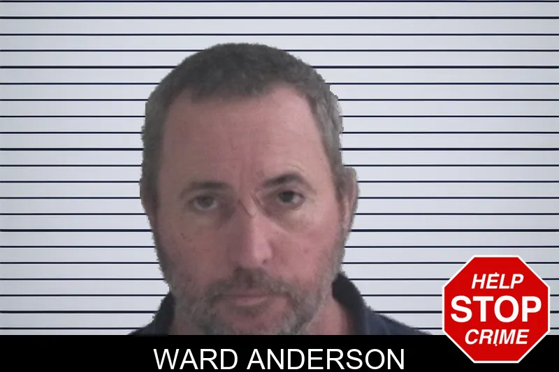 Ward Anderson mugshot – Brantley County , Georgia Ward Anderson mugshot