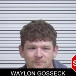 Waylon Gosseck mugshot
