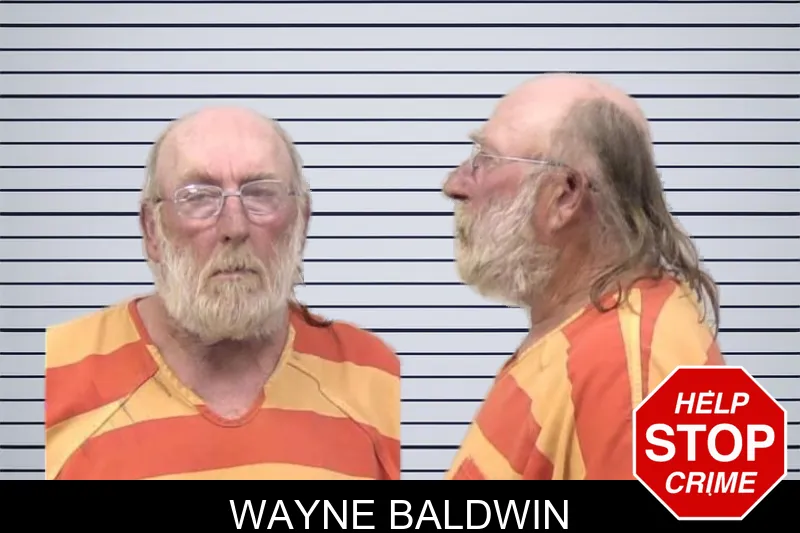 Wayne Baldwin mugshot – Paulding County , Georgia Wayne Baldwin mugshot