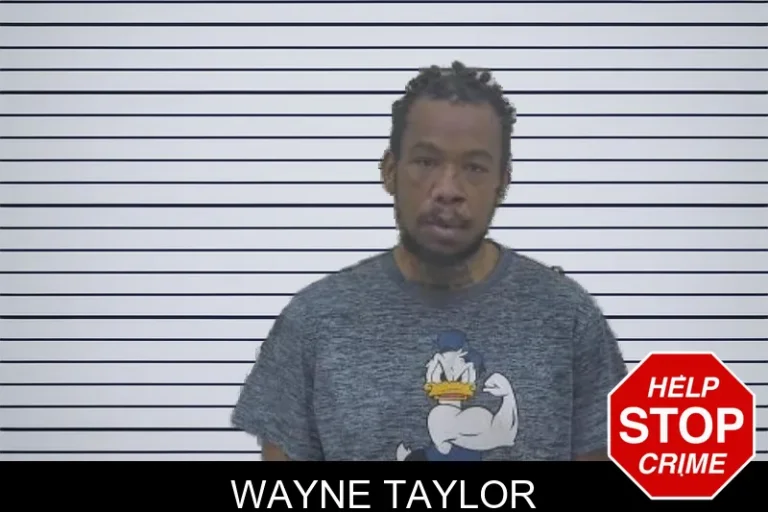 Wayne Taylor
