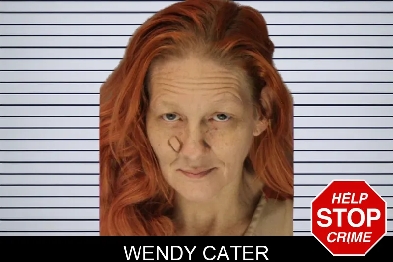 Wendy Cater mugshot