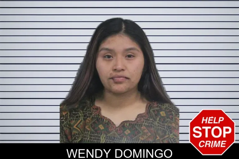 Wendy Domingo