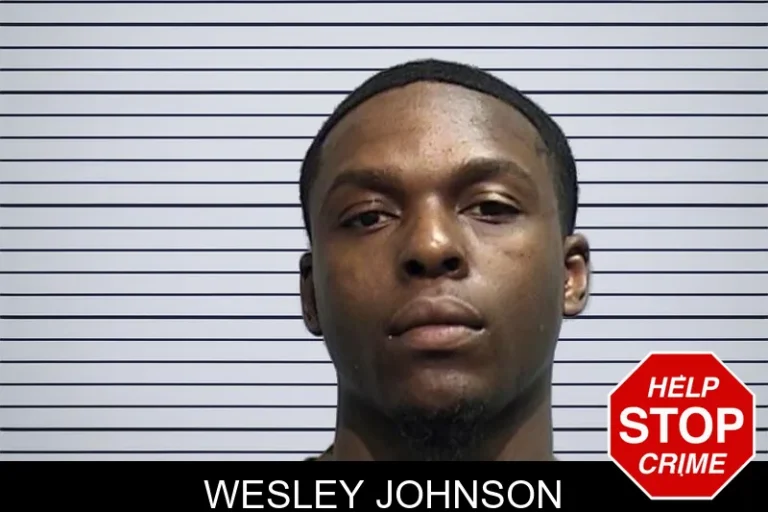 Wesley Johnson mugshot – Effingham County , Georgia Wesley Johnson