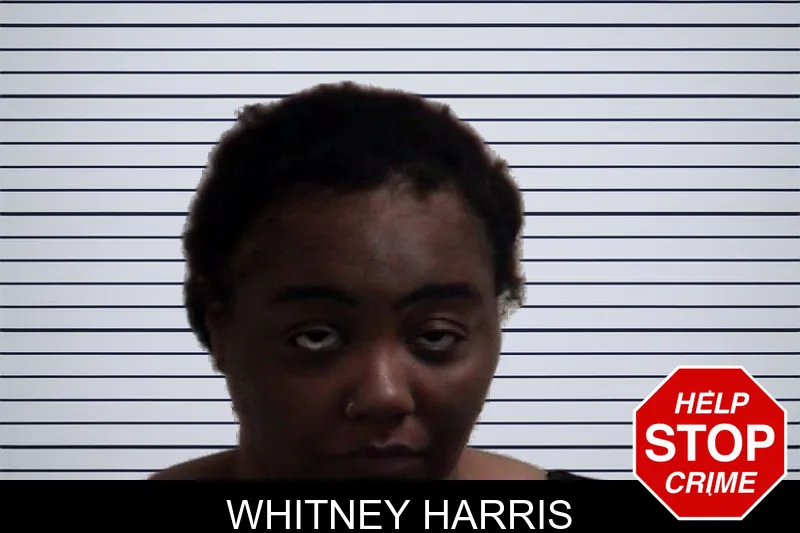Whitney Harris mugshot