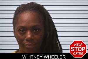 Whitney Wheeler mugshot