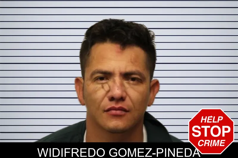 Widifredo Gomez-Pineda mugshot