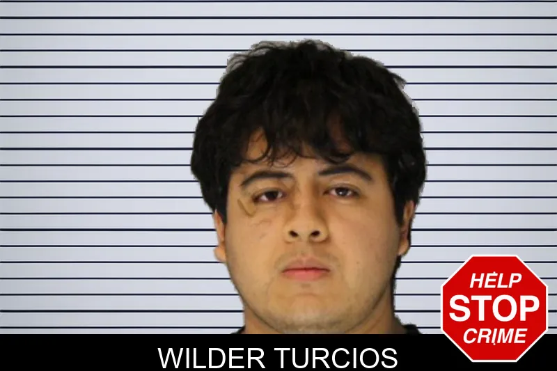 Wilder Turcios mugshot