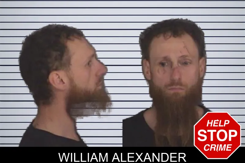 William Alexander mugshot